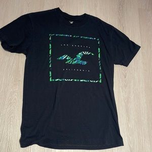 Hollister tee